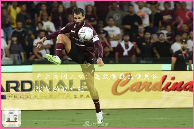 开云访问入口：高效便捷的使用体验与功能介绍